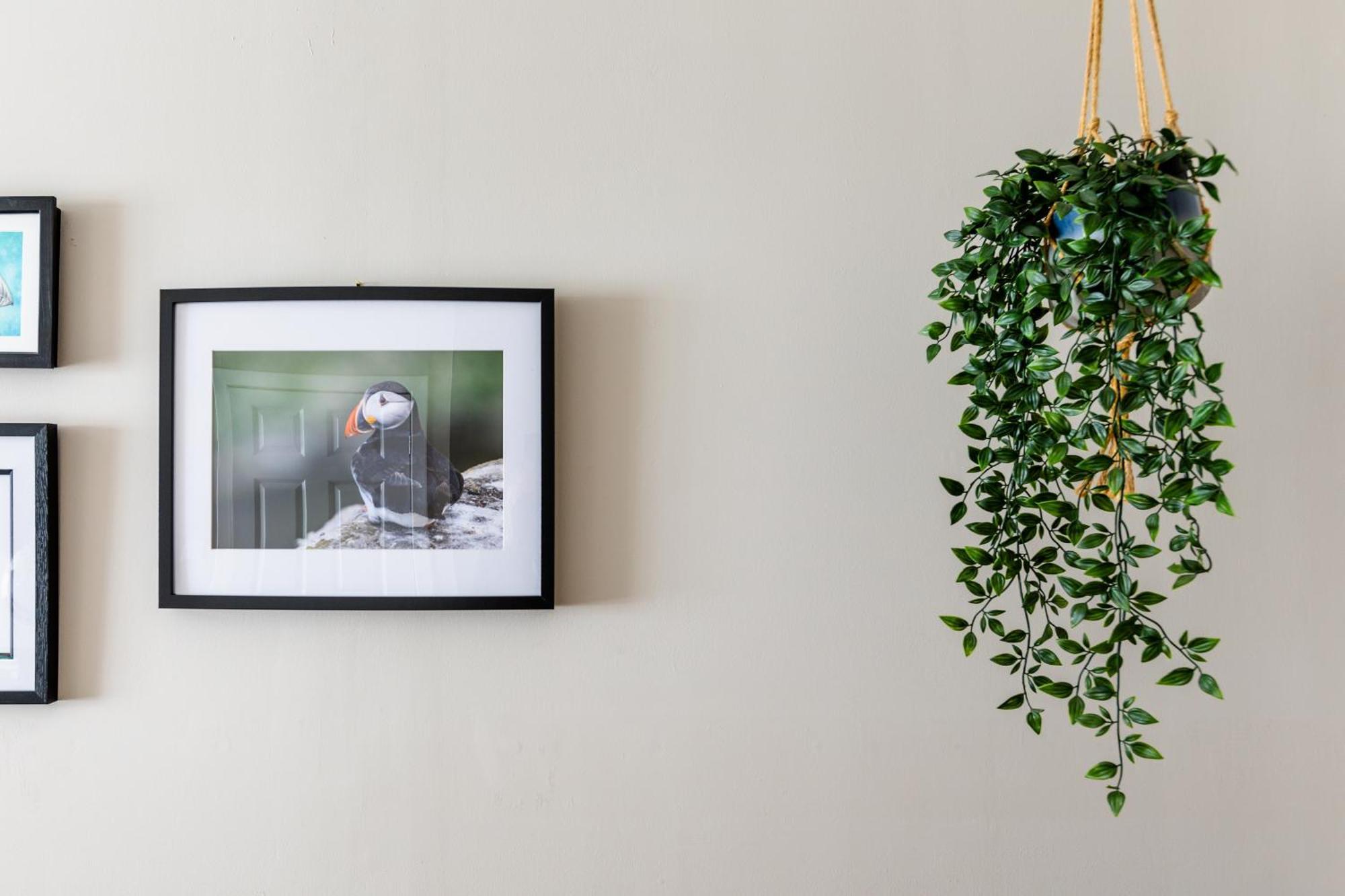 Sea Breeze Apartment Anstruther Luaran gambar